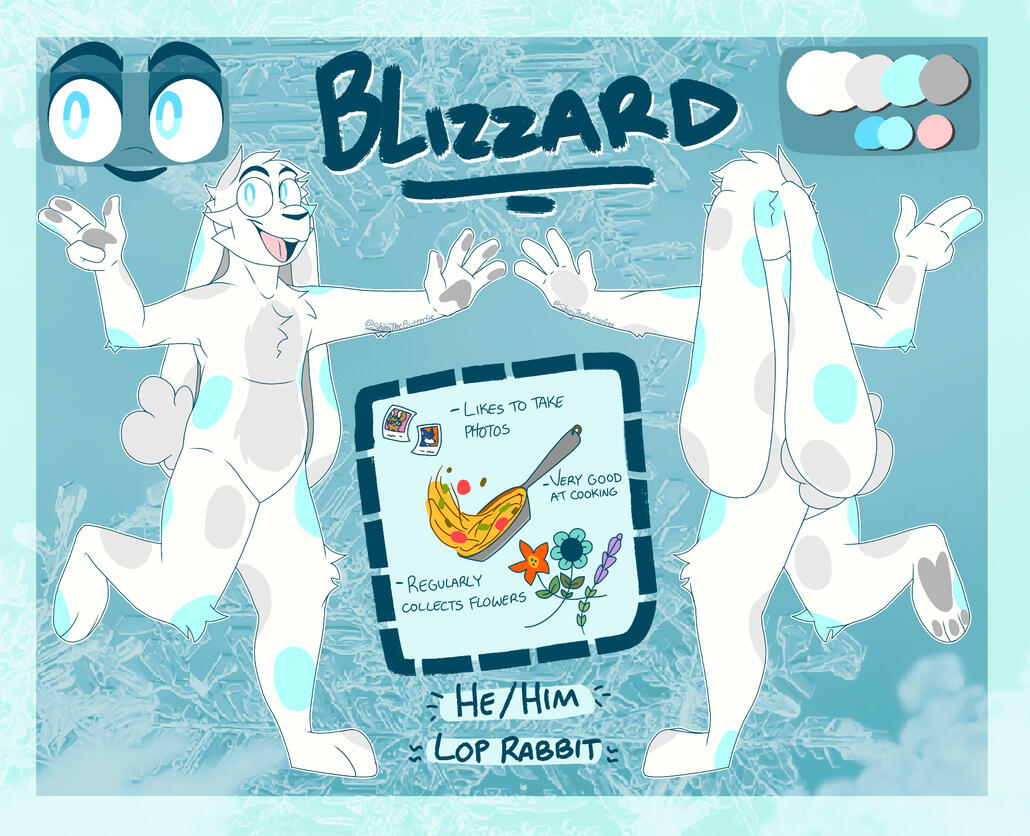 Ref of My OC, Blizzard Ref of My OC, Blizzard
